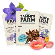 Graines de Plantes Comestibles