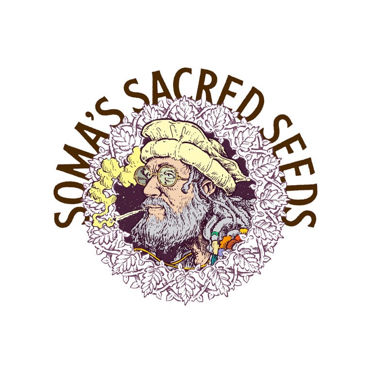 Soma Seeds
