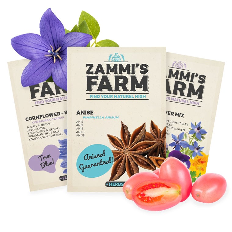 Graines de Plantes Comestibles