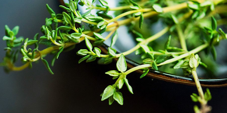 10 choses insolites à faire avec des herbes aromatiques