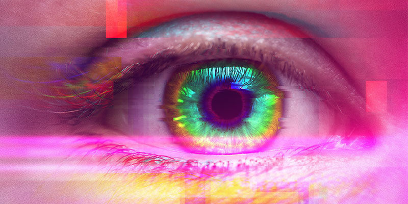 Quels Sont Les Effets De La Consommation Du Psilocybe Cubensis ?