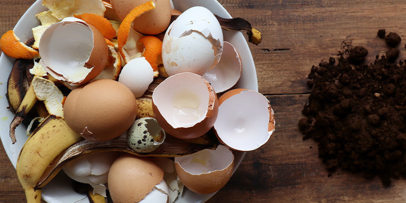 Le Compost – L’Engrais Maison N°1