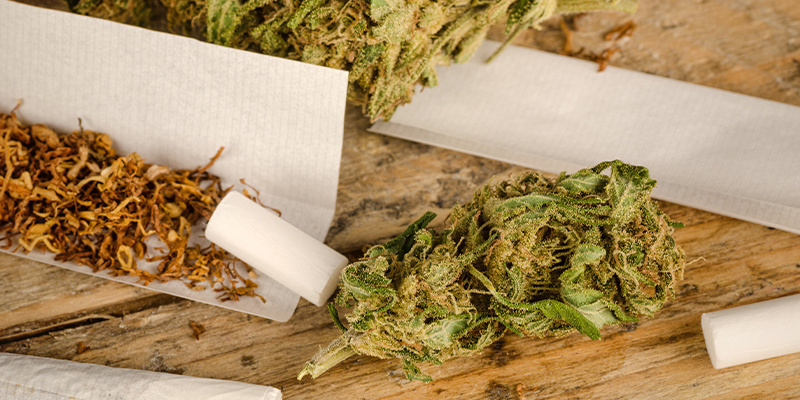 Le tabac augmente les effets du cannabis