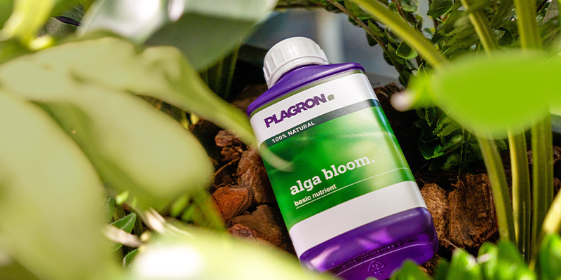 Tout combiner : élaborer le programme de nutrition biologique idéal