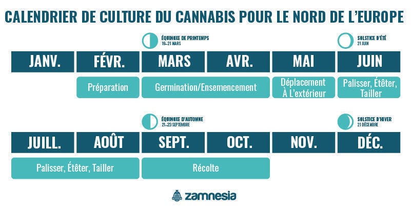 Calendrier De Culture Du Cannabis Dans Le Nord De L’Europe