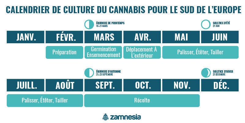 Calendrier De Culture Du Cannabis Dans Le Sud De L’Europe