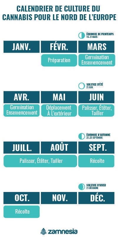 Calendrier de culture du cannabis dans le nord de l’Europe