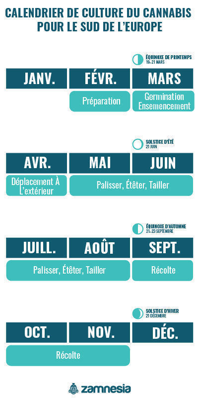 Calendrier de culture du cannabis dans le sud de l’Europe