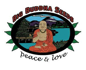 Big Buddha Seeds Logo Big Buddha Seeds Logo
