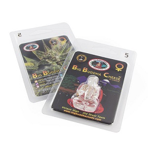 Emballage de Big Buddha Seeds Emballage de Big Buddha Seeds