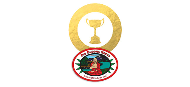 Récompenses Big Buddha Seeds Récompenses Big Buddha Seeds