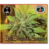 Big Buddha Cheese Big Buddha Cheese