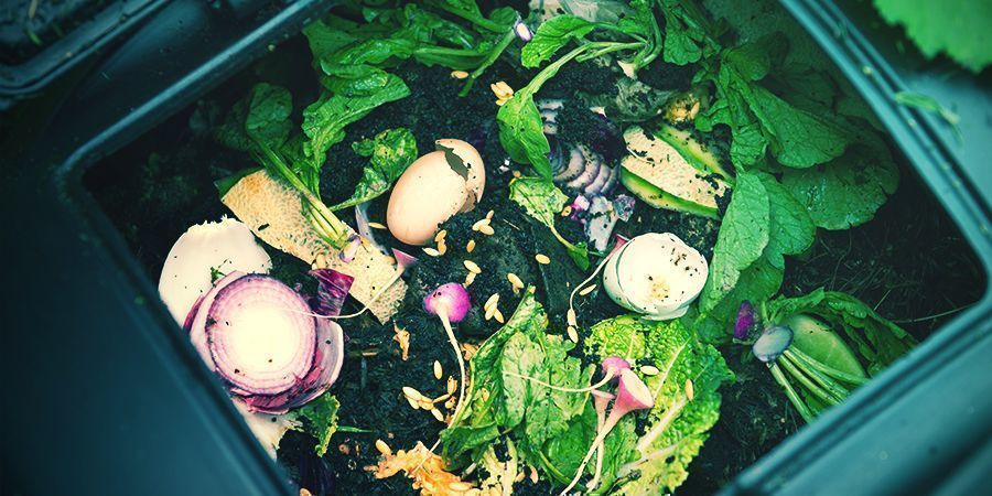 Comment Faire Son Propre Compost