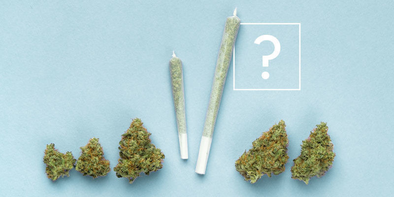 Combien De Joints Peut-On Rouler Avec Un Gramme D’Herbe ?