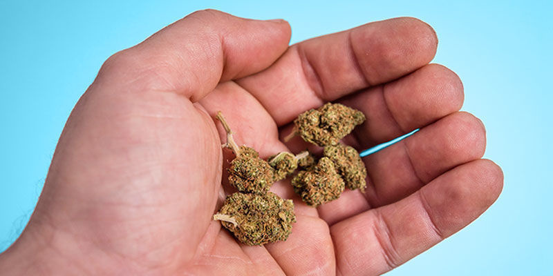 Des Scientifiques Expliquent Combien D’Herbe Contient Un Joint Moyen