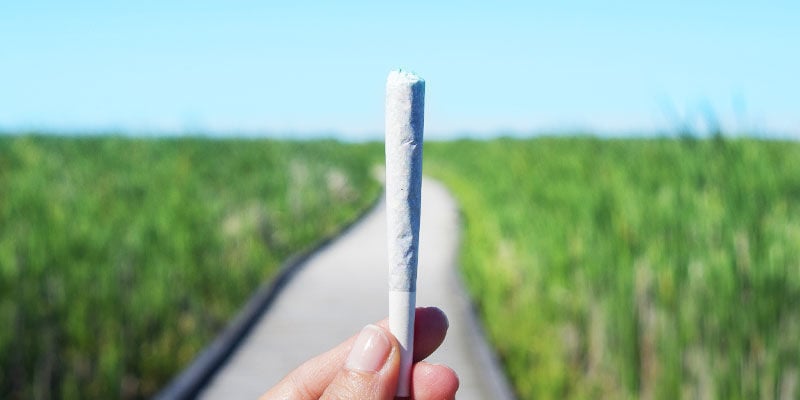 Quelle Taille Fait Le Joint Parfait ?