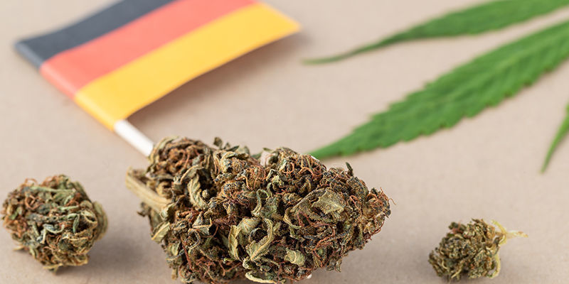 Les Critiques De La Nouvelle Loi Sur Le Cannabis En Allemagne