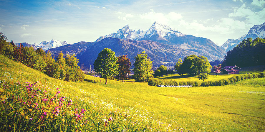 CULTIVER DU CANNABIS SOUS LE CLIMAT ALLEMAND