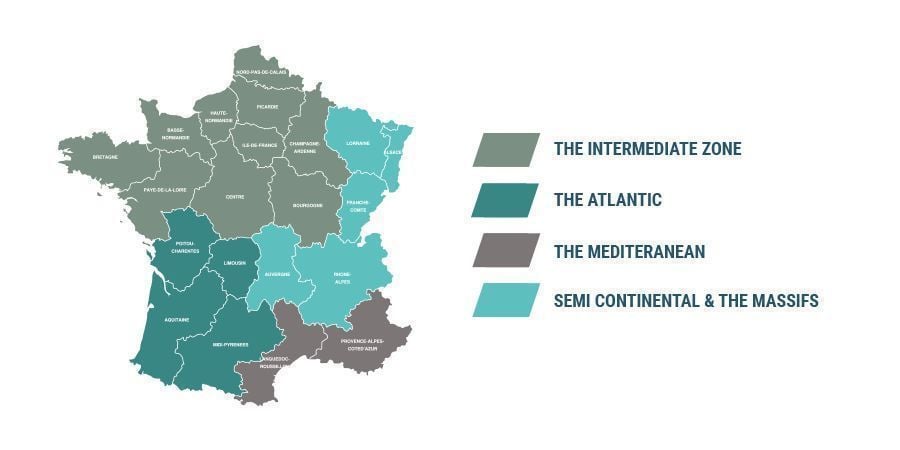 CULTIVER DU CANNABIS DANS LE CLIMAT FRANÇAIS