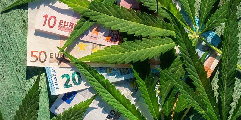 Vous Économiserez De L'Argent Sur Les Fleurs De CBD