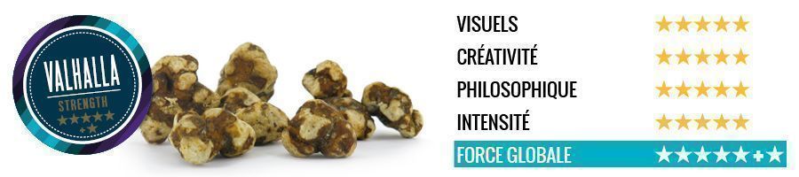 Truffes magiques Valhalla