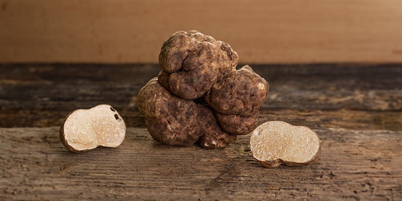 Prenez vos truffes correctement