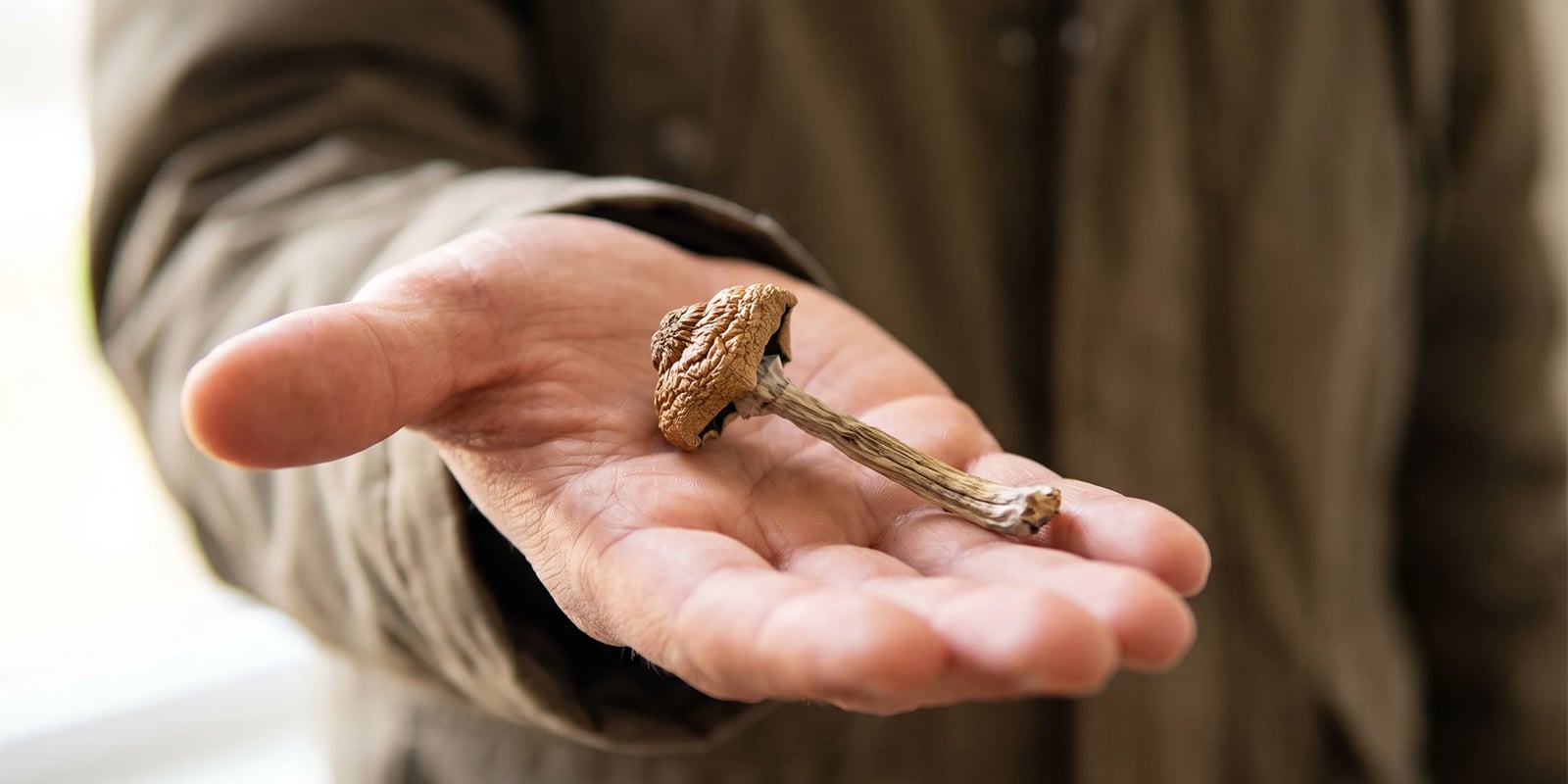 Alors, les champignons magiques sont-ils la drogue r&eacute;cr&eacute;ative la plus s&ucirc;re ?