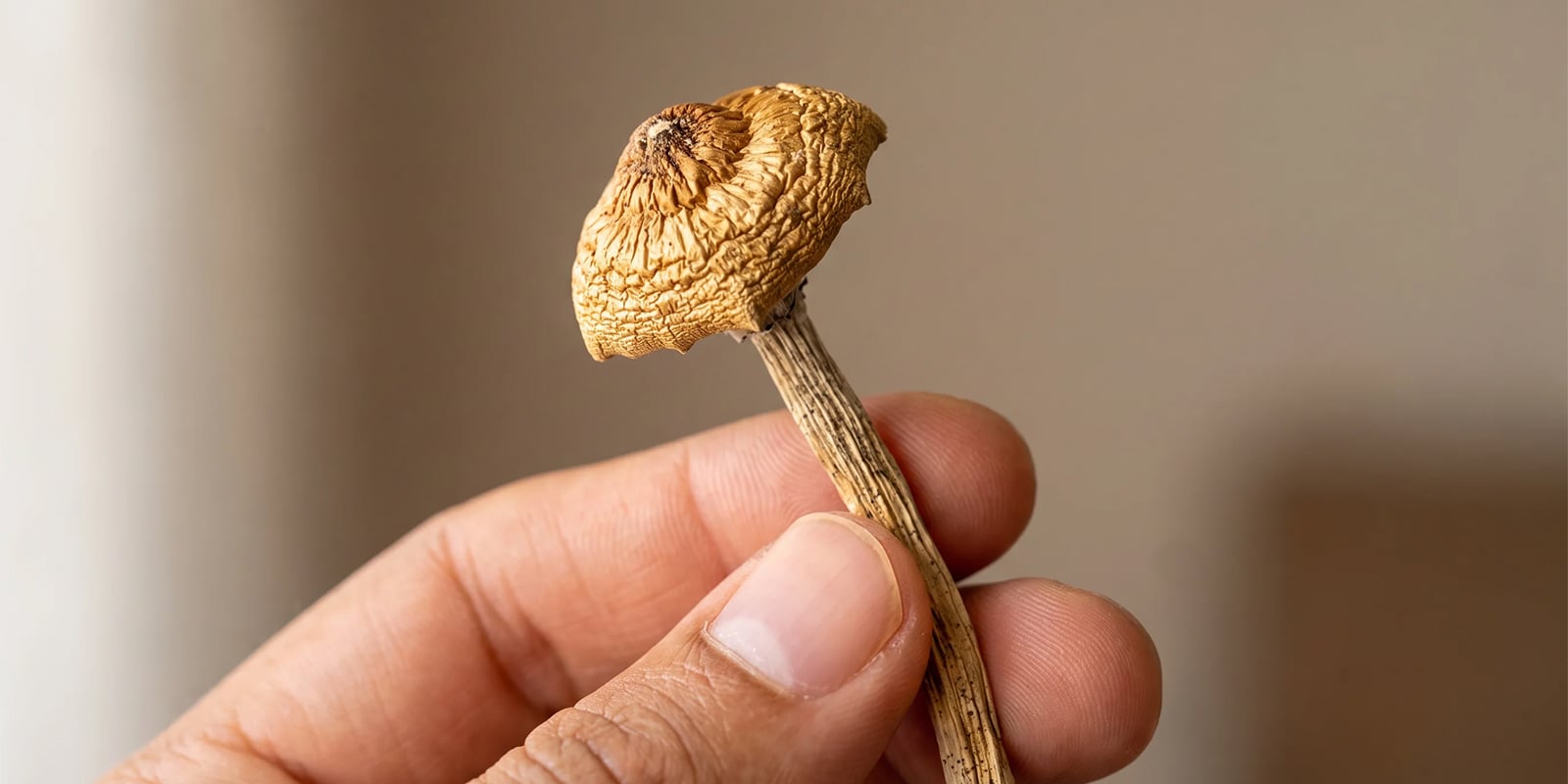 Que signifie vraiment &laquo; la drogue la plus s&ucirc;re &raquo; ?