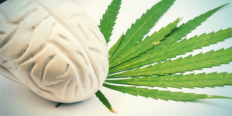Donner Du Sens À L’Expérience Du Cannabis