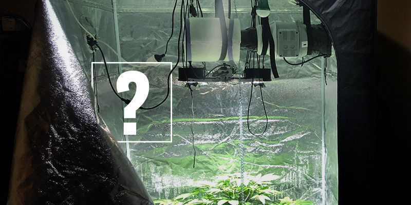 Do You Need a Carbon Filter To Grow Cannabis?