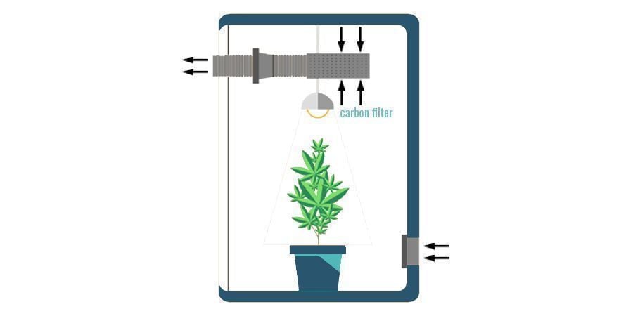 Where To Put a Carbon Filter in Your Grow Room