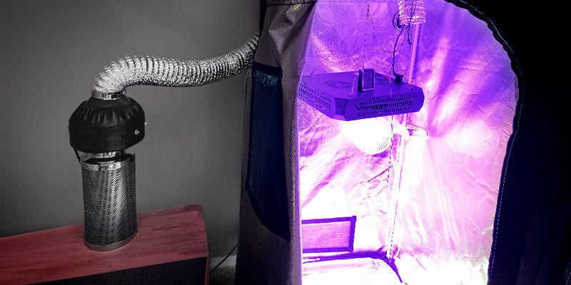 À L’Extérieur De La Tente De Culture