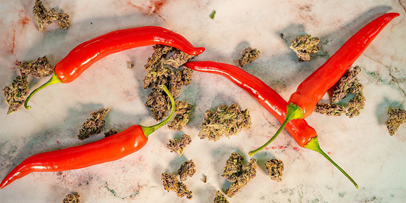 Le Cannabis Et Le Piment Ont-Ils Quoi Que Ce Soit en Commun ?