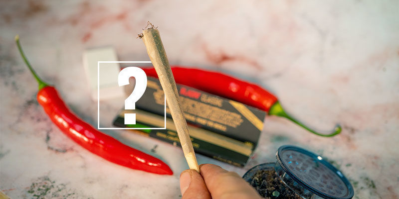 Piments Et Cannabis : Le Couple Parfait ?