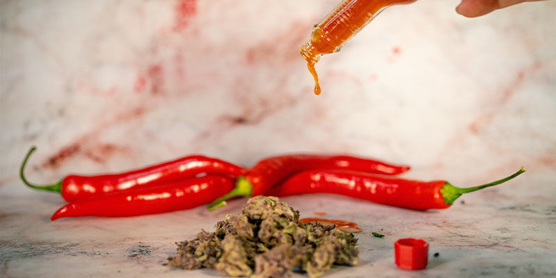 Comment Mélanger Cannabis Et Piments Dans Un Plat