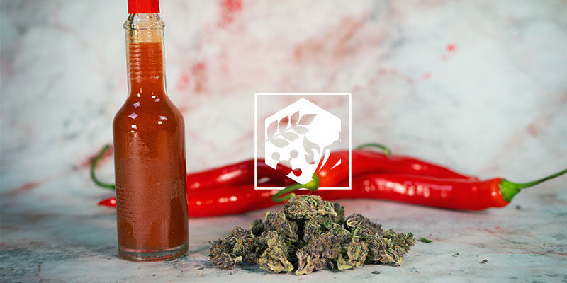 Les Bienfaits Du Piment en Cuisine : nutrition