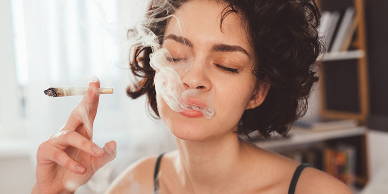Comparaison entre le cannabis et les psychédéliques traditionnels