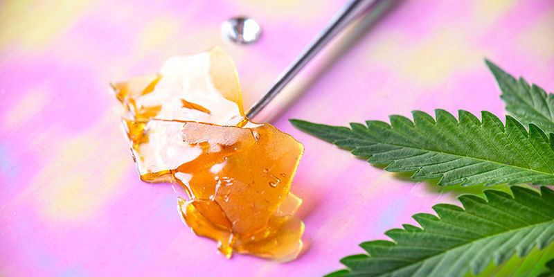 Facteurs pouvant influencer l’intensité psychoactive du cannabis