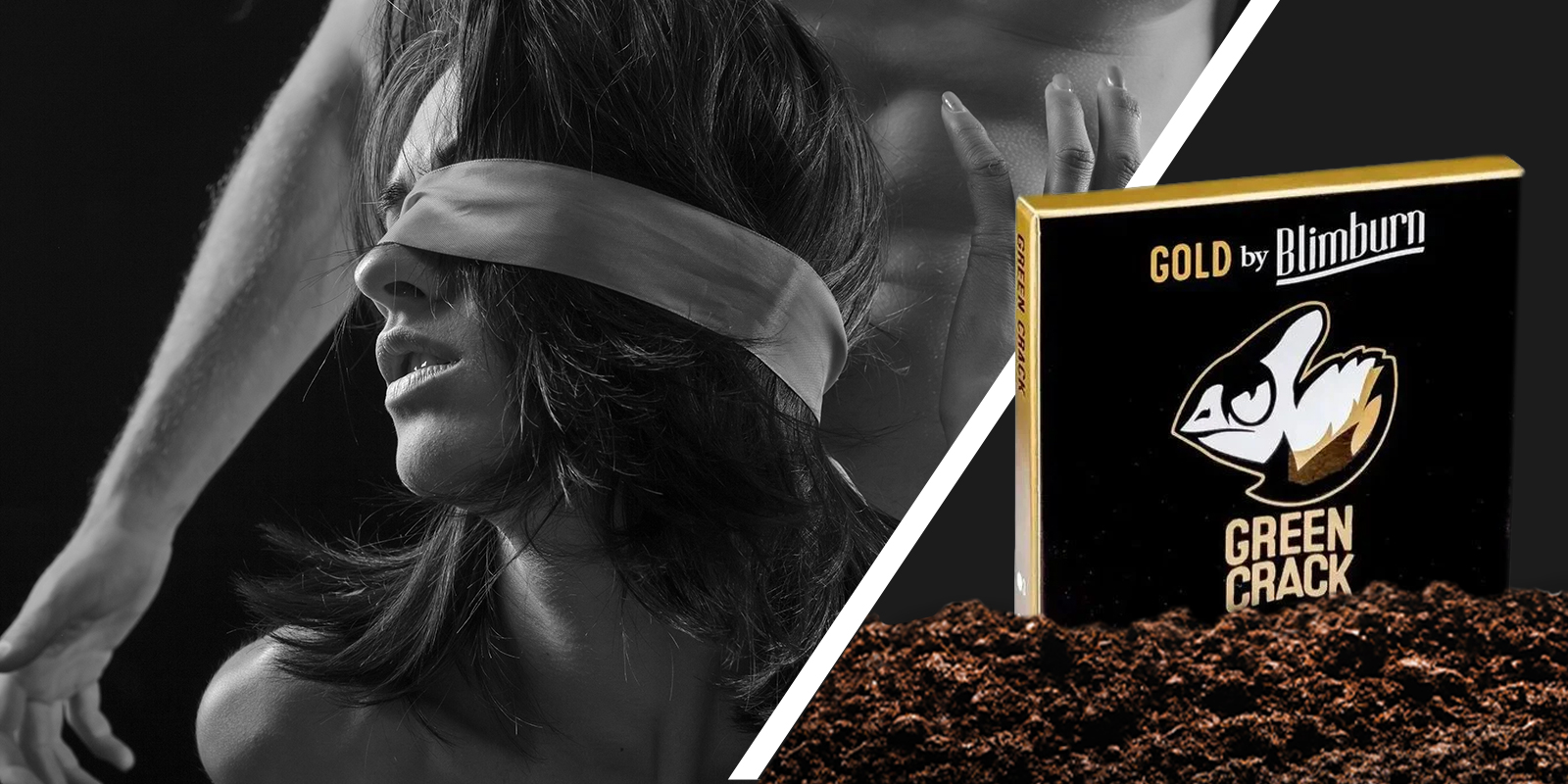 Pour l&rsquo;&eacute;nergie, le c&ocirc;t&eacute; joueur et la passion : le intensity booster