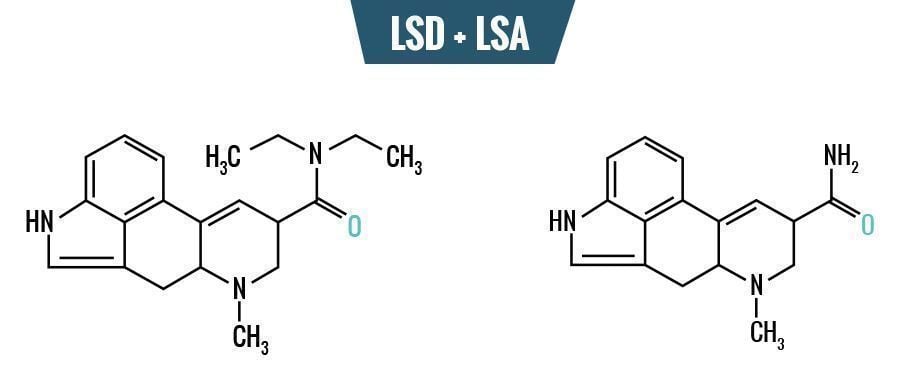 LSD vs. LSA - La Différence