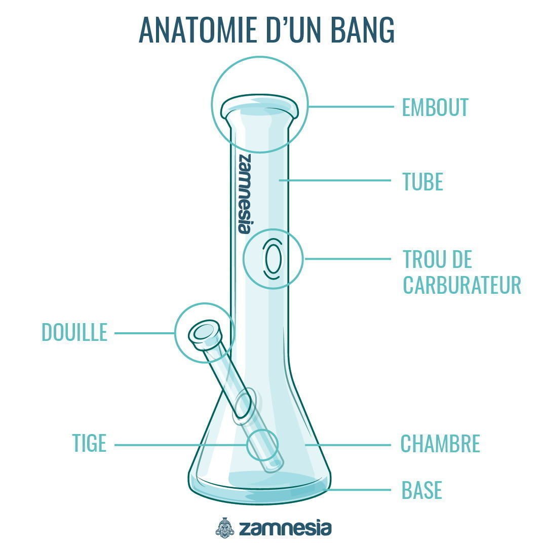 Anatomie D'un Bang