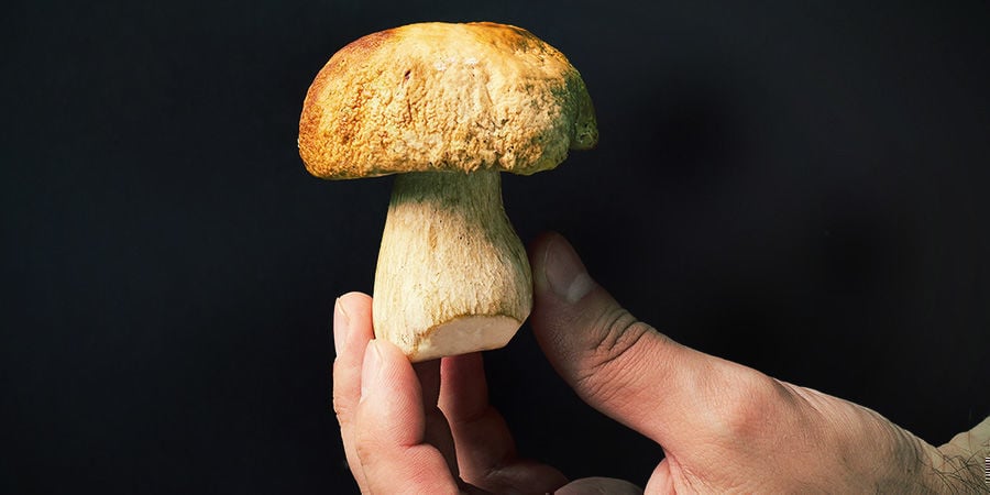 Faites Toujours Attention Avec Vos Champignons