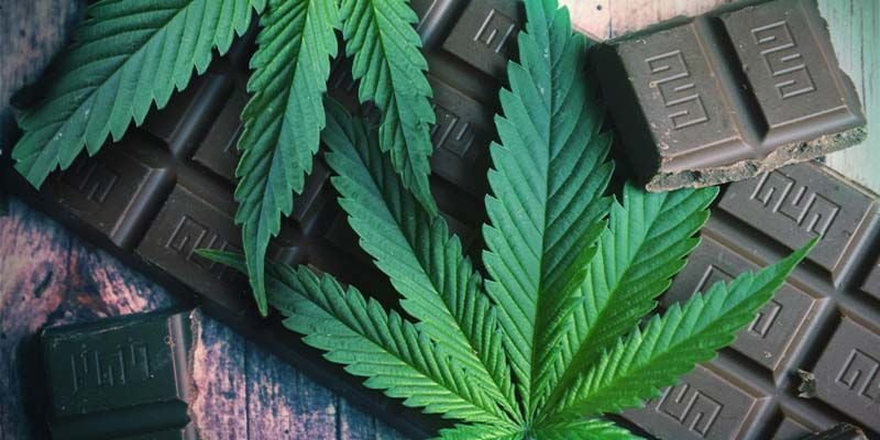 Les Bases Des Produits Comestibles Au Cannabis