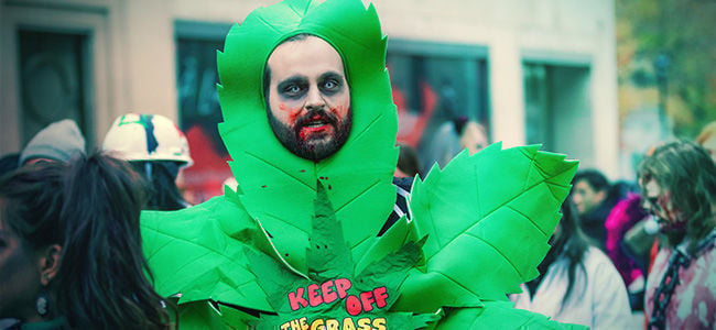 Créez Votre Propre Costume D'Halloween Sur Le Thème Du Cannabis