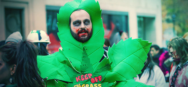 Créez Votre Propre Costume D'Halloween Sur Le Thème Du Cannabis