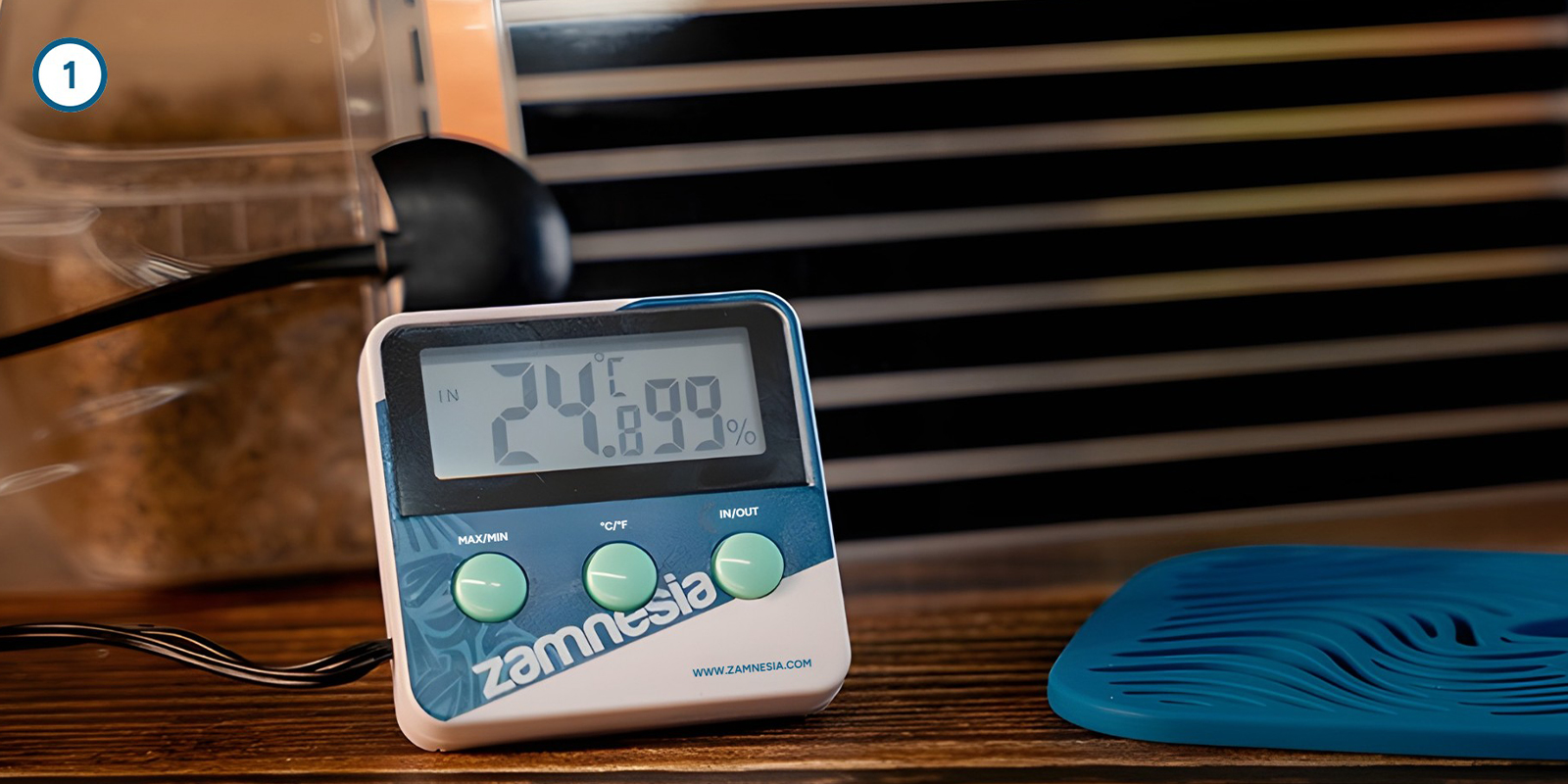 Cultiver le mycélium de champignons magiques chez soi