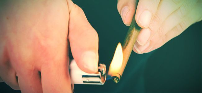 Comment bien rouler un blunt ? Guide étape par étape