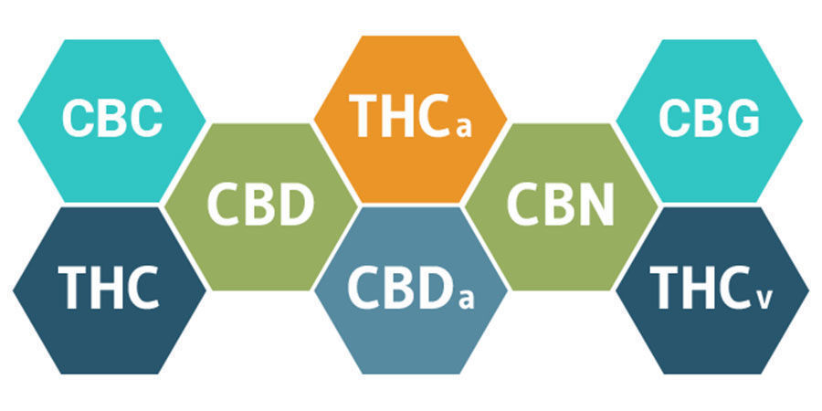 L’Effet Entourage Et Les Cannabinoïdes