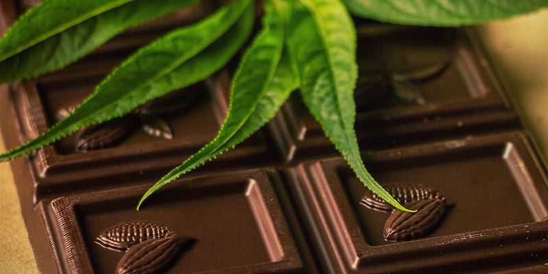 CHOCOLAT ET CANNABIS : LA PAIRE CHIMIQUE PARFAITE