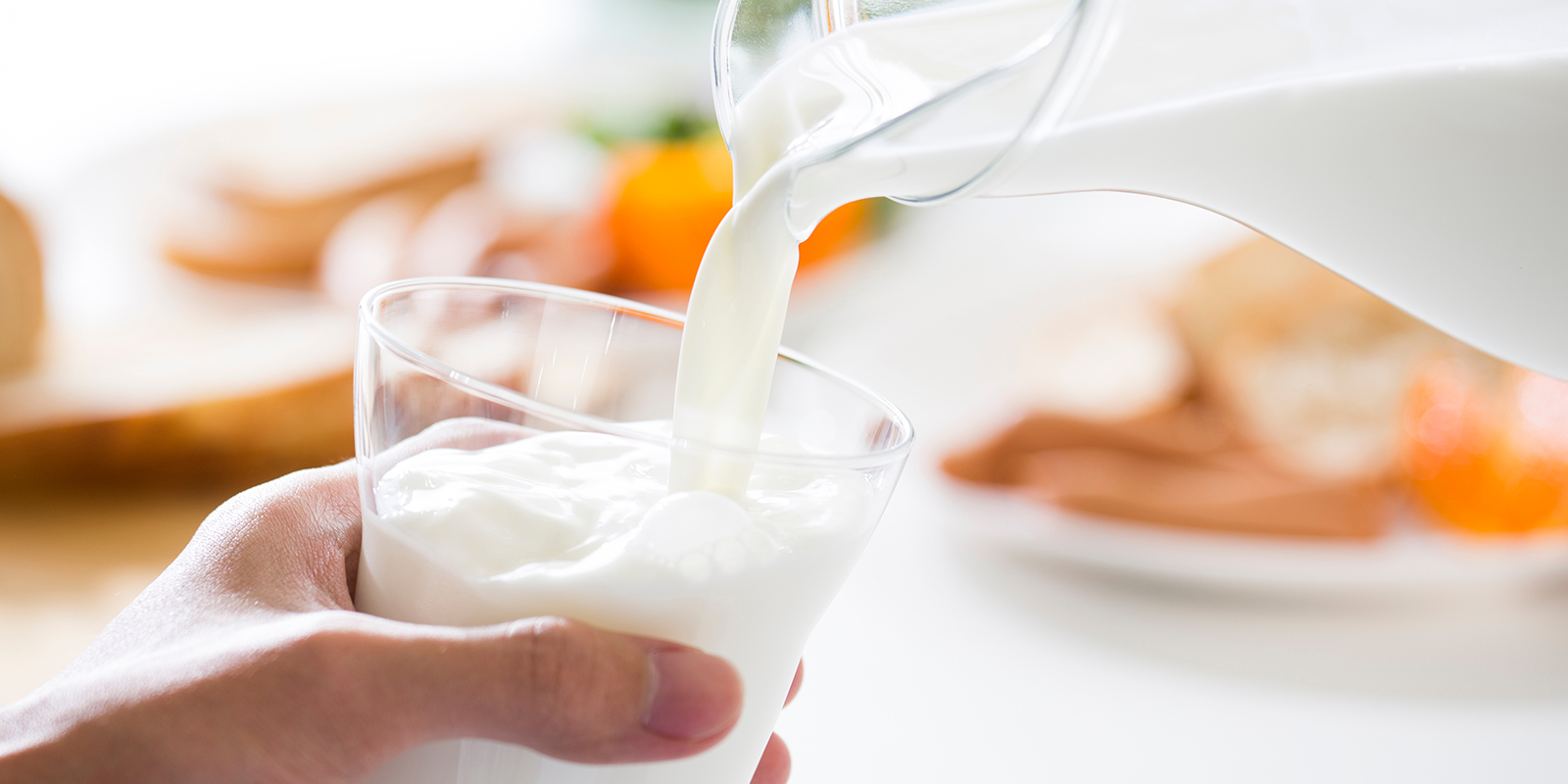 Mythe 2 : Le lait nettoie l’urine